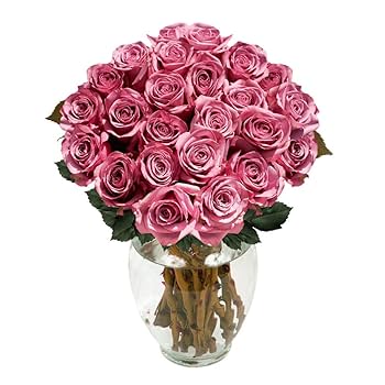 Amazon.com : GlobalRose 250 Lavender Roses Bouquet